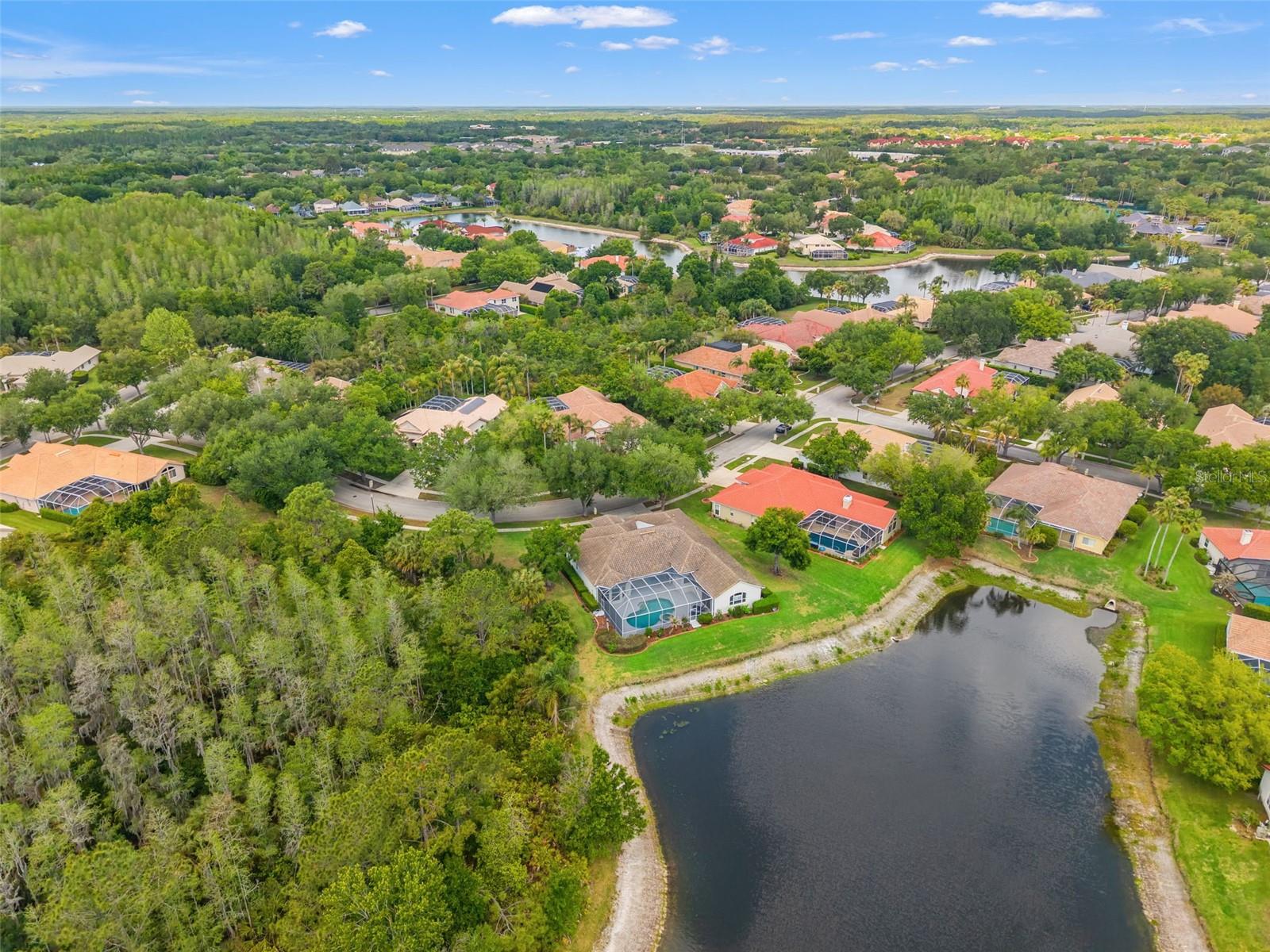 17905 ARBOR GREENE DR, TAMPA, FL, 33647