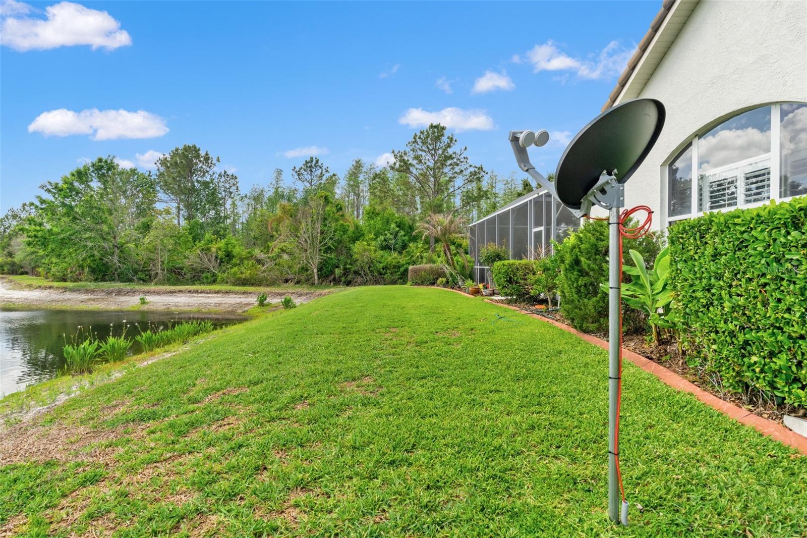 17905 ARBOR GREENE DR, TAMPA, FL, 33647