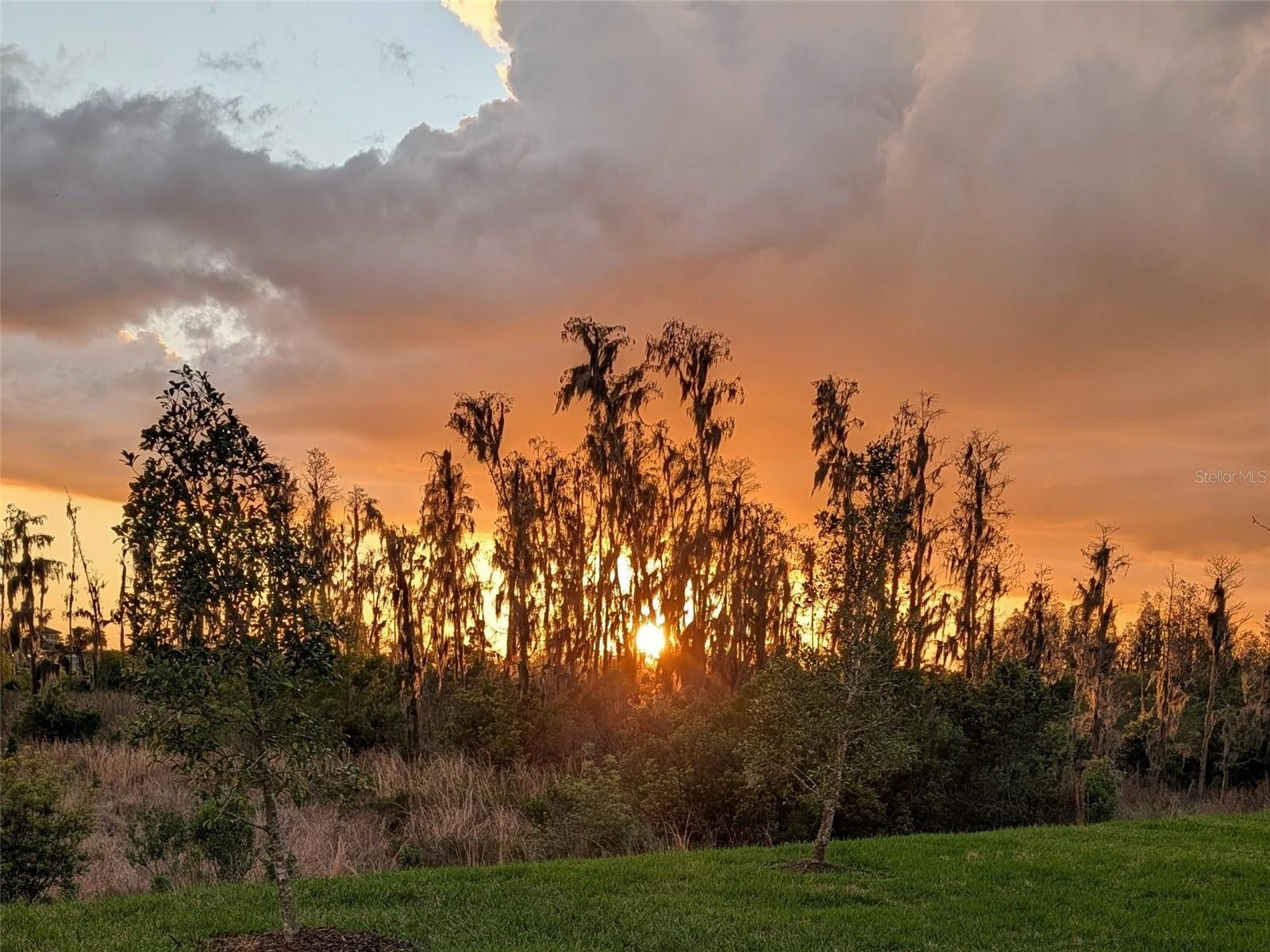 32558 TREE OF LIFE AVE, WESLEY CHAPEL, FL, 33543