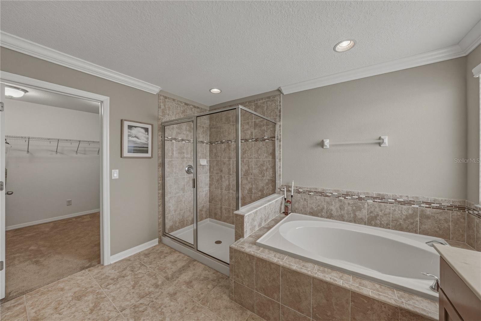 10661 PICTORIAL PARK DR, TAMPA, FL, 33647