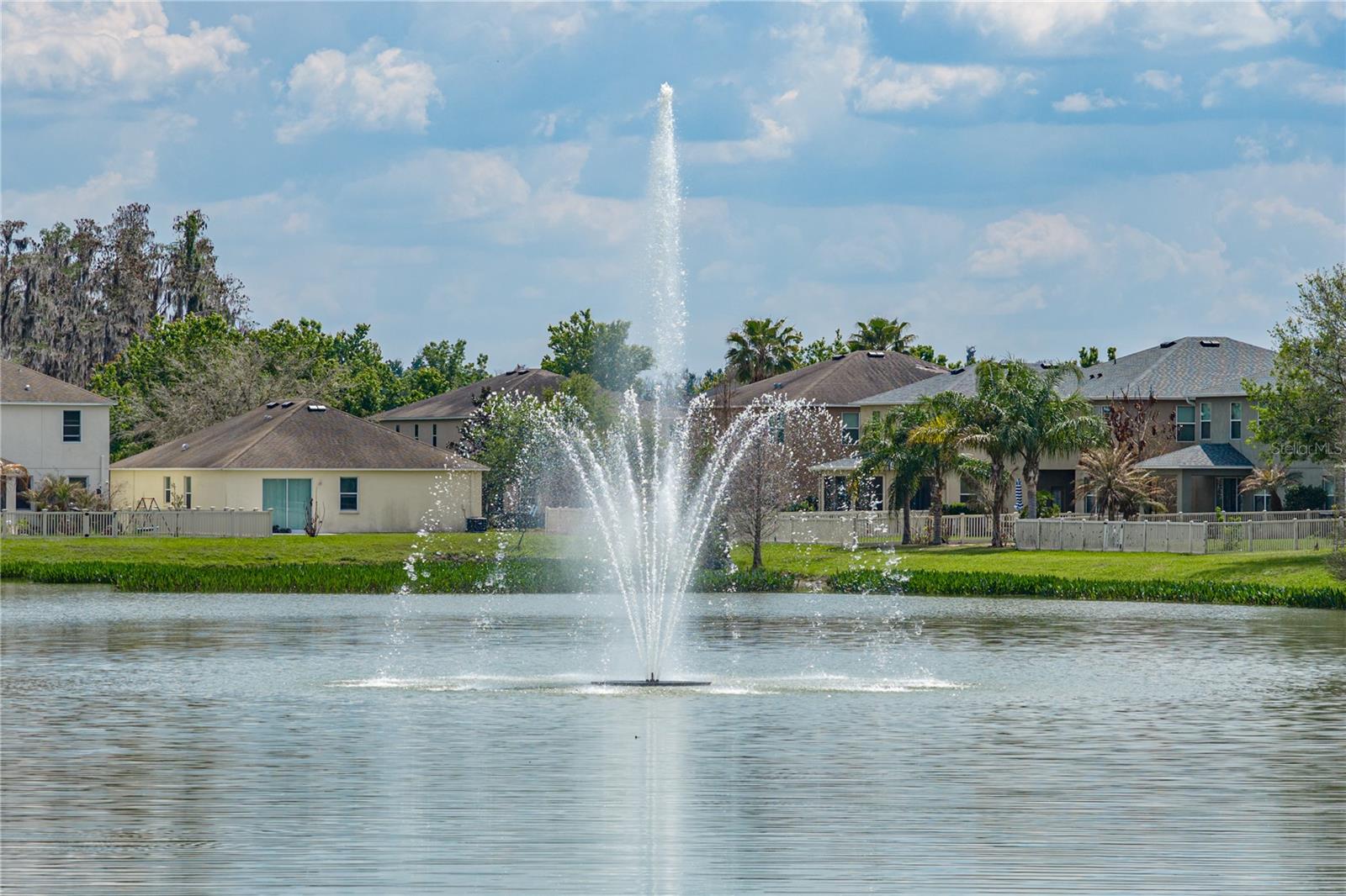 10661 PICTORIAL PARK DR, TAMPA, FL, 33647