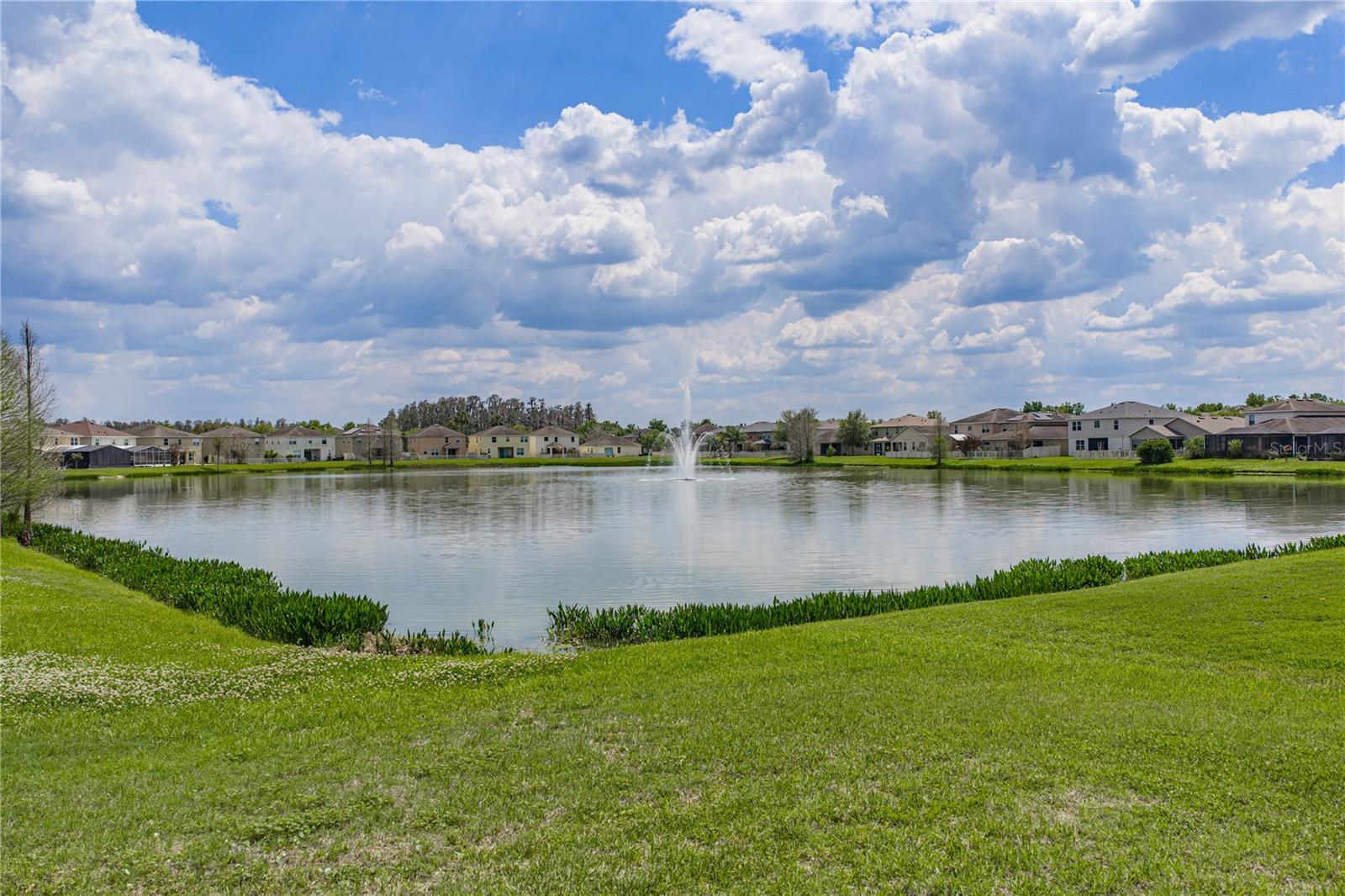 10661 PICTORIAL PARK DR, TAMPA, FL, 33647