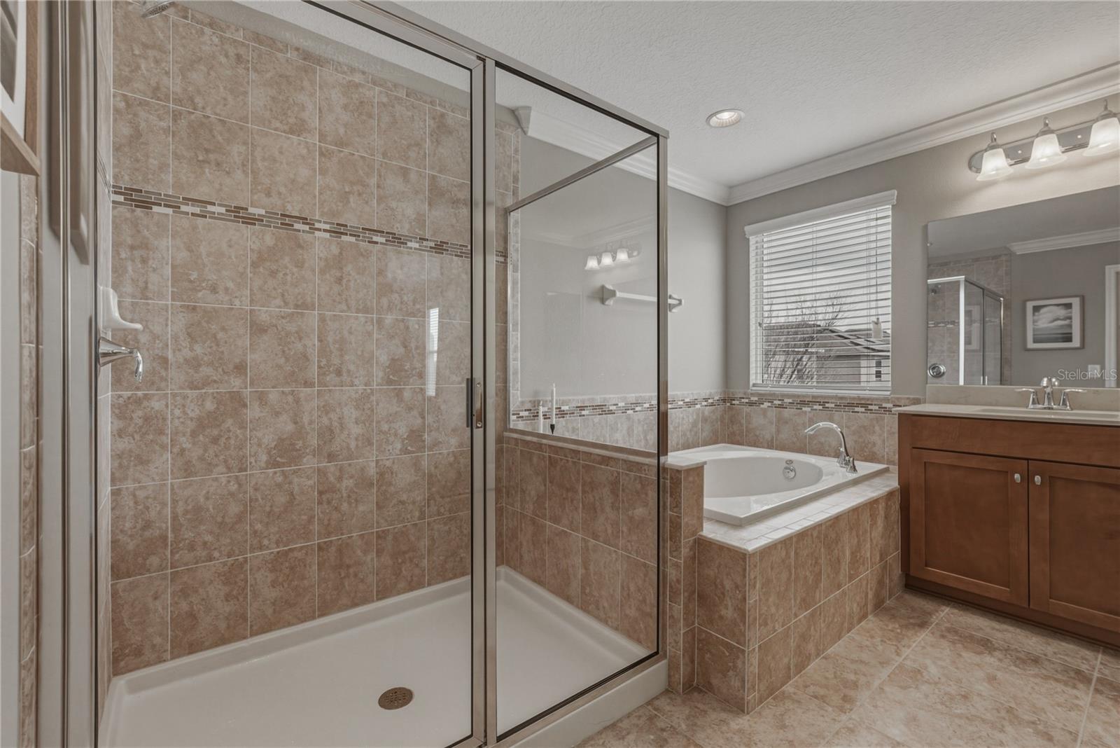 10661 PICTORIAL PARK DR, TAMPA, FL, 33647