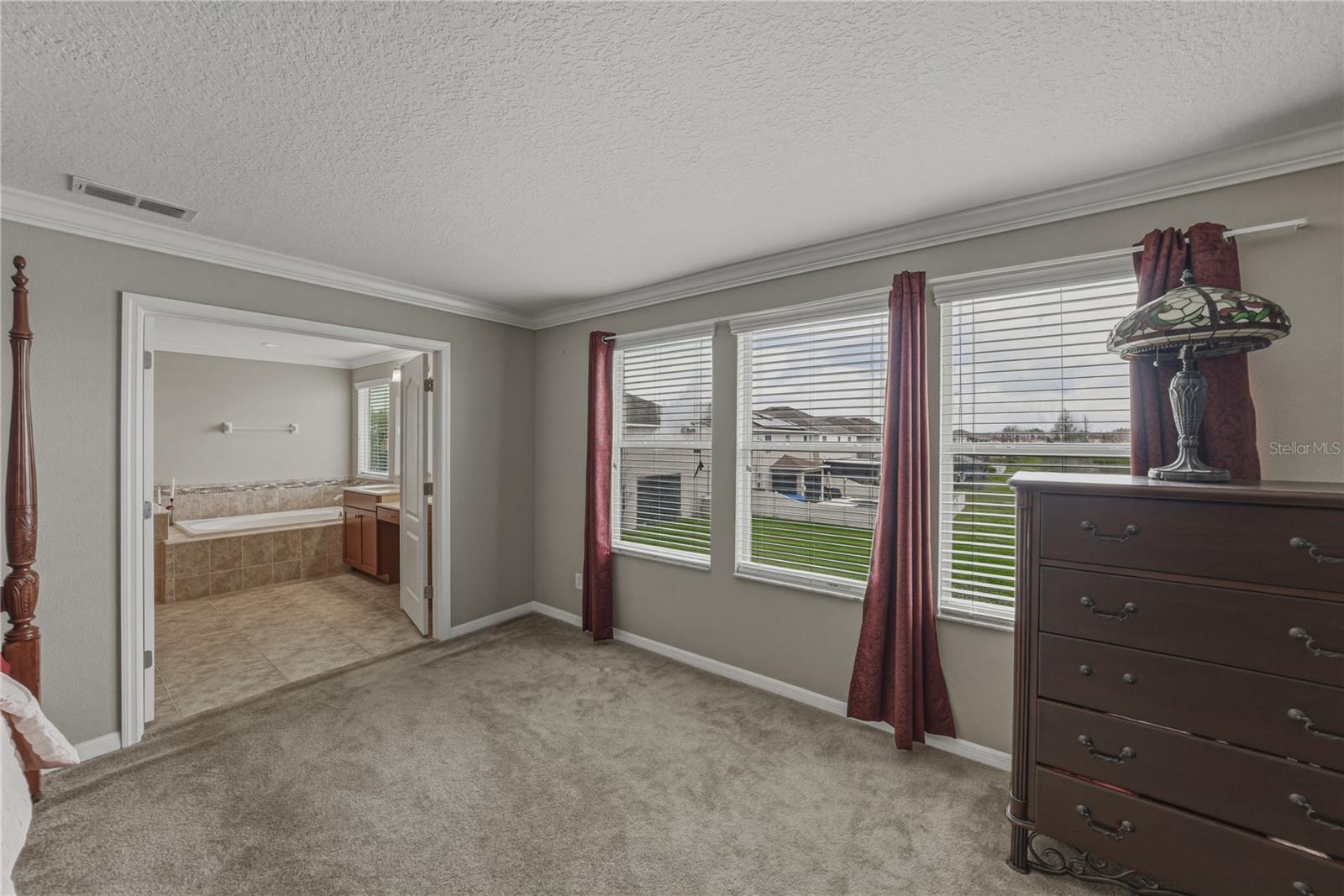 10661 PICTORIAL PARK DR, TAMPA, FL, 33647