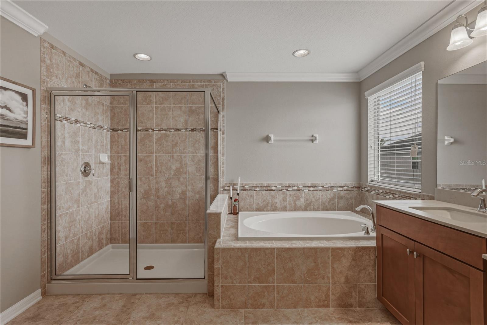 10661 PICTORIAL PARK DR, TAMPA, FL, 33647