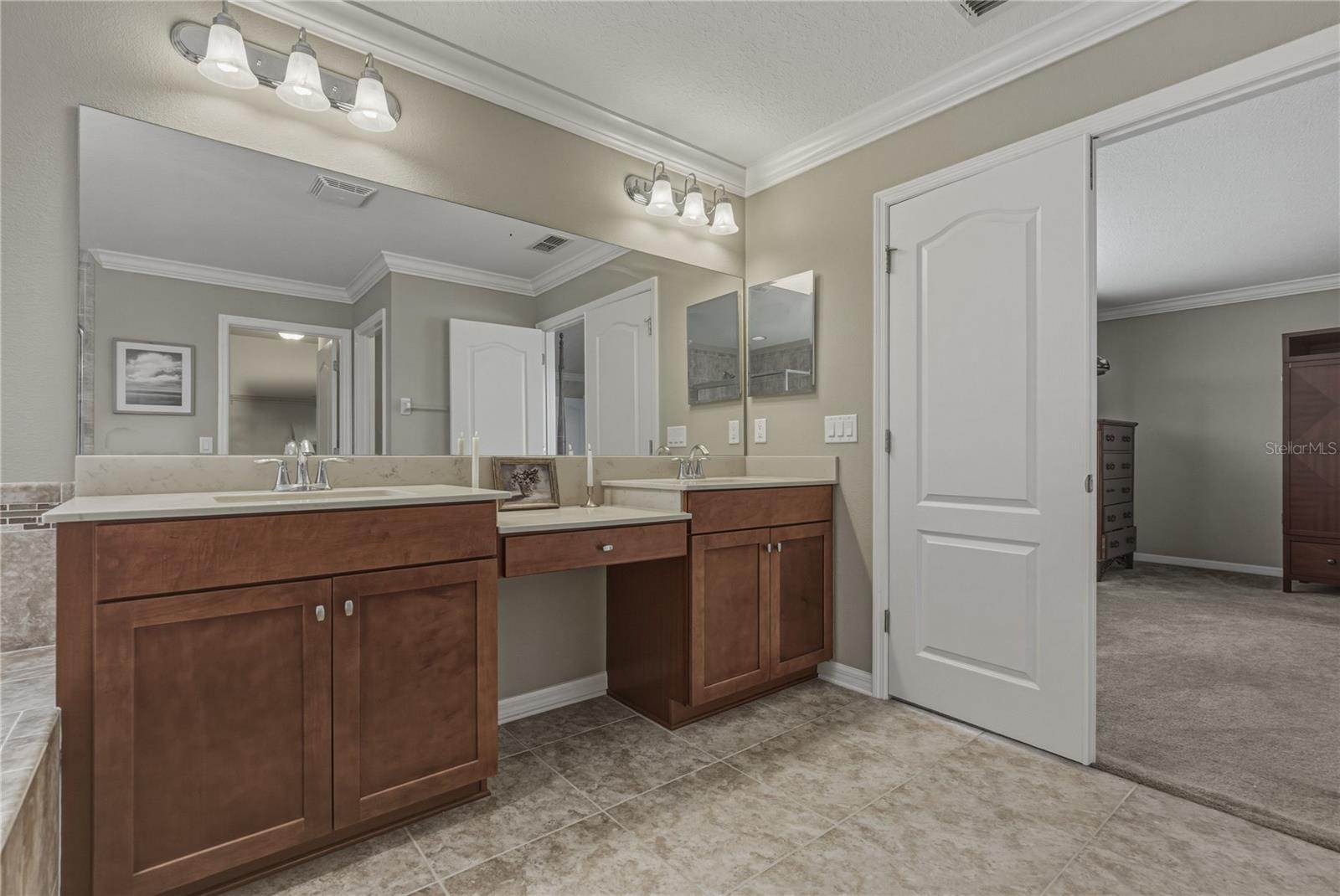 10661 PICTORIAL PARK DR, TAMPA, FL, 33647
