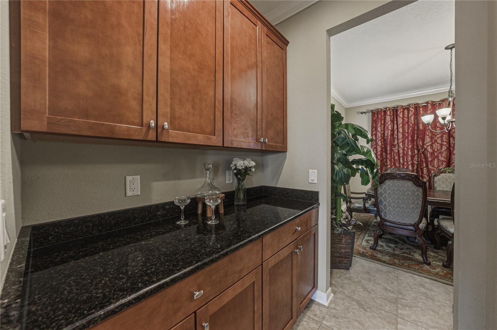 10661 PICTORIAL PARK DR, TAMPA, FL, 33647