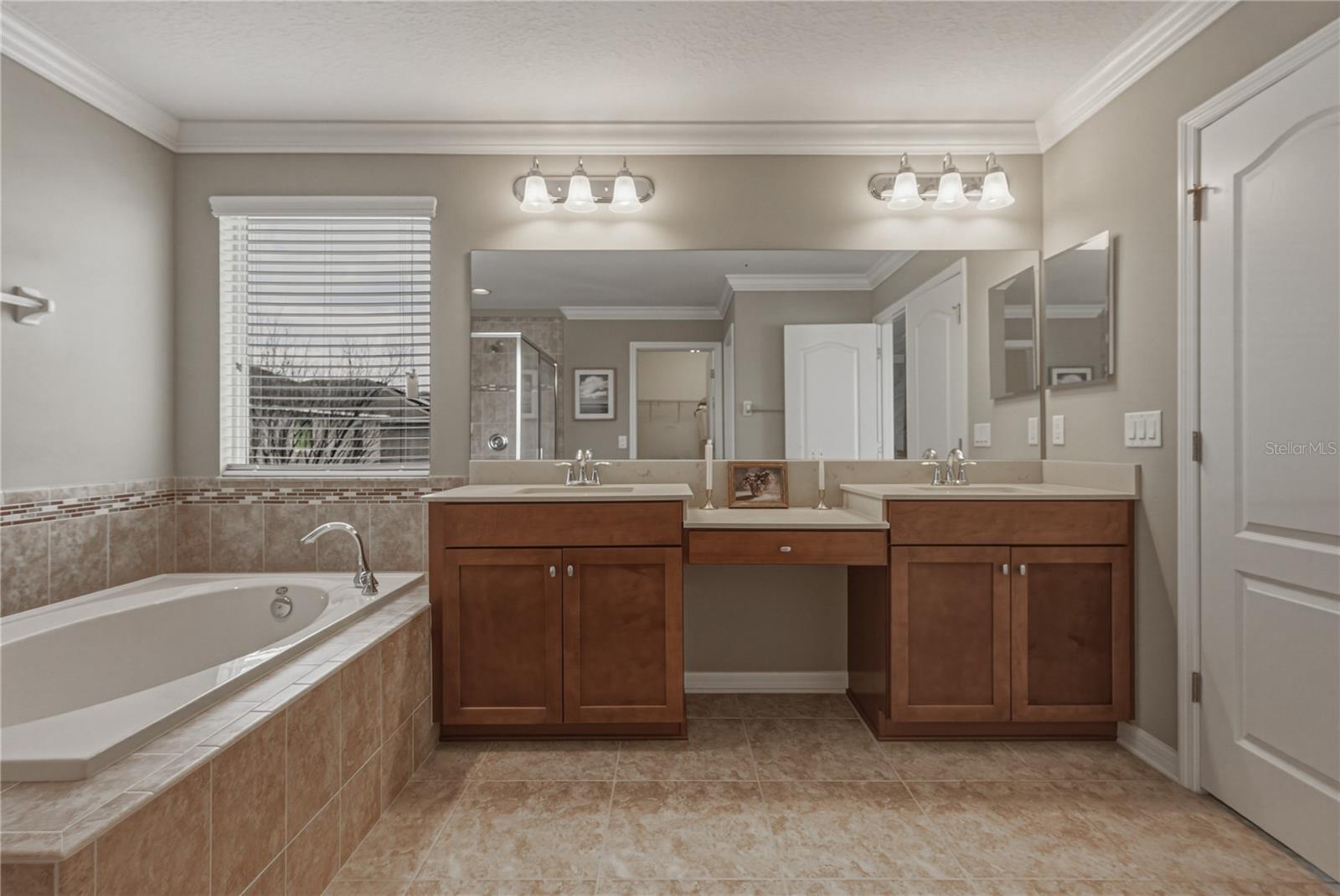 10661 PICTORIAL PARK DR, TAMPA, FL, 33647