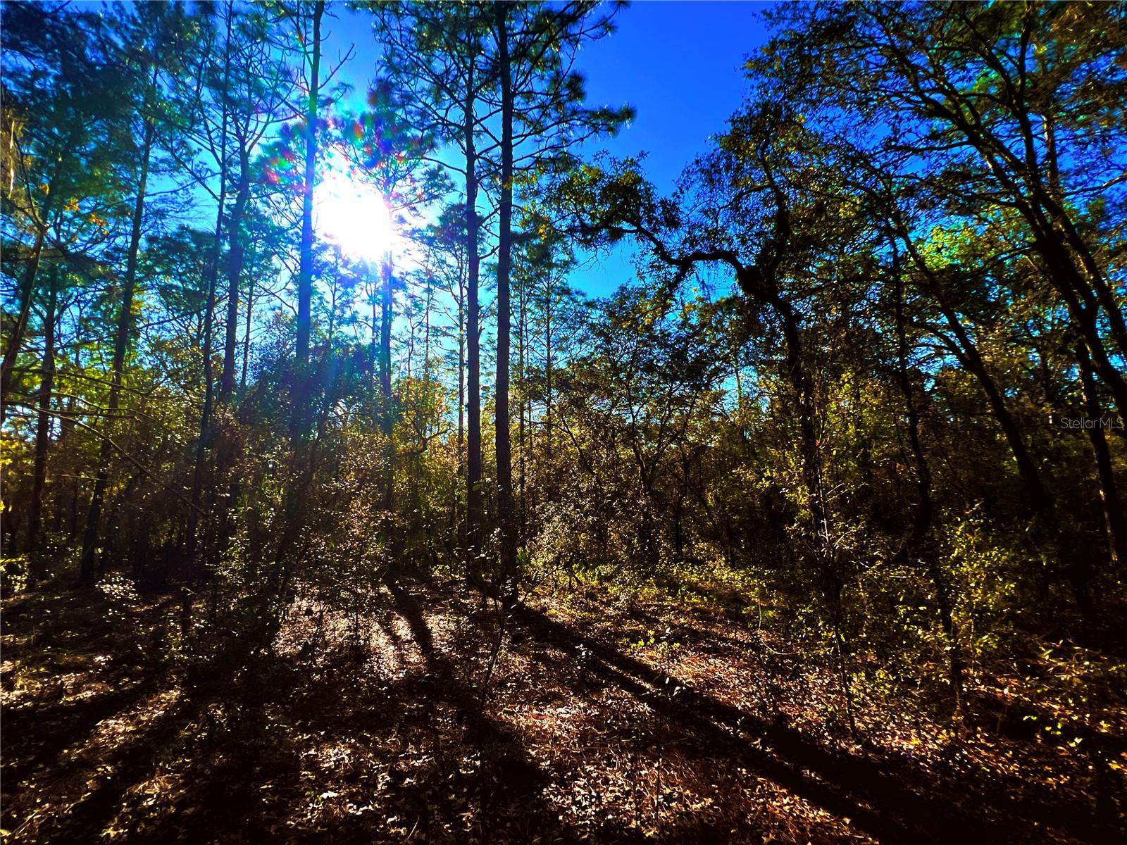 3968 N INDIANHEAD RD, HERNANDO, FL, 34442