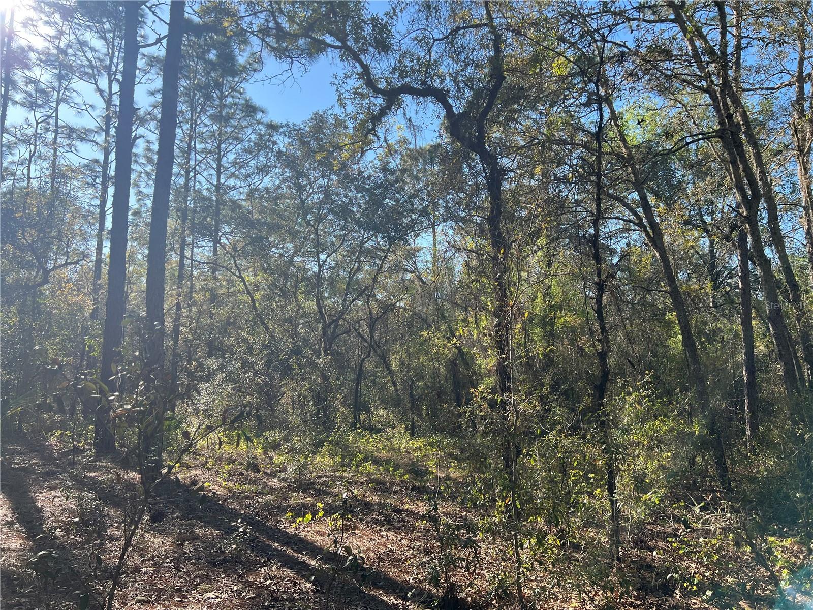 3968 N INDIANHEAD RD, HERNANDO, FL, 34442