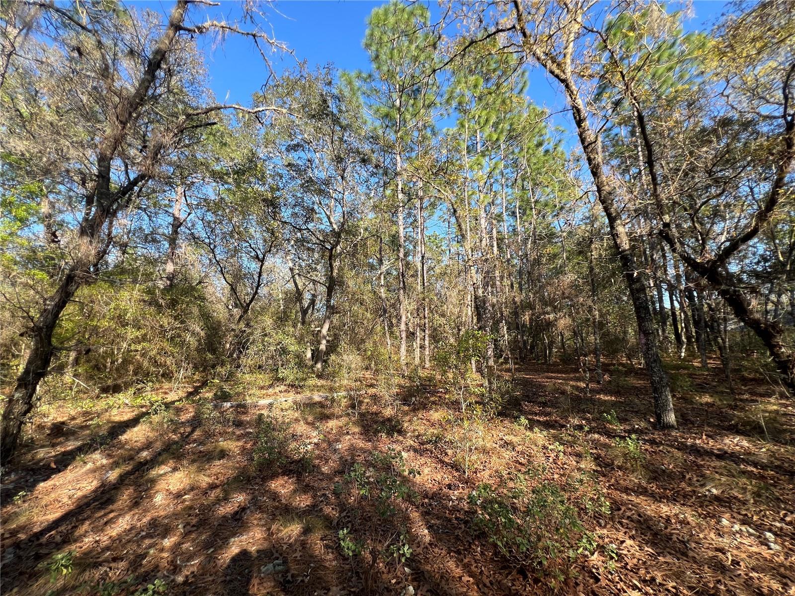 3968 N INDIANHEAD RD, HERNANDO, FL, 34442