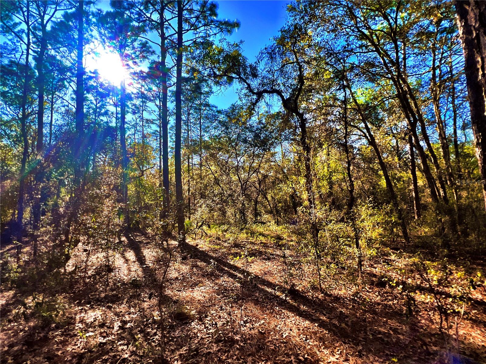 3968 N INDIANHEAD RD, HERNANDO, FL, 34442