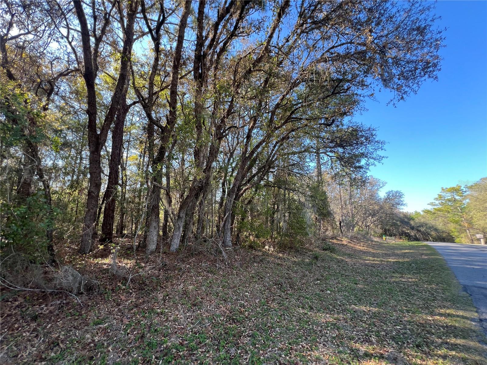 3968 N INDIANHEAD RD, HERNANDO, FL, 34442