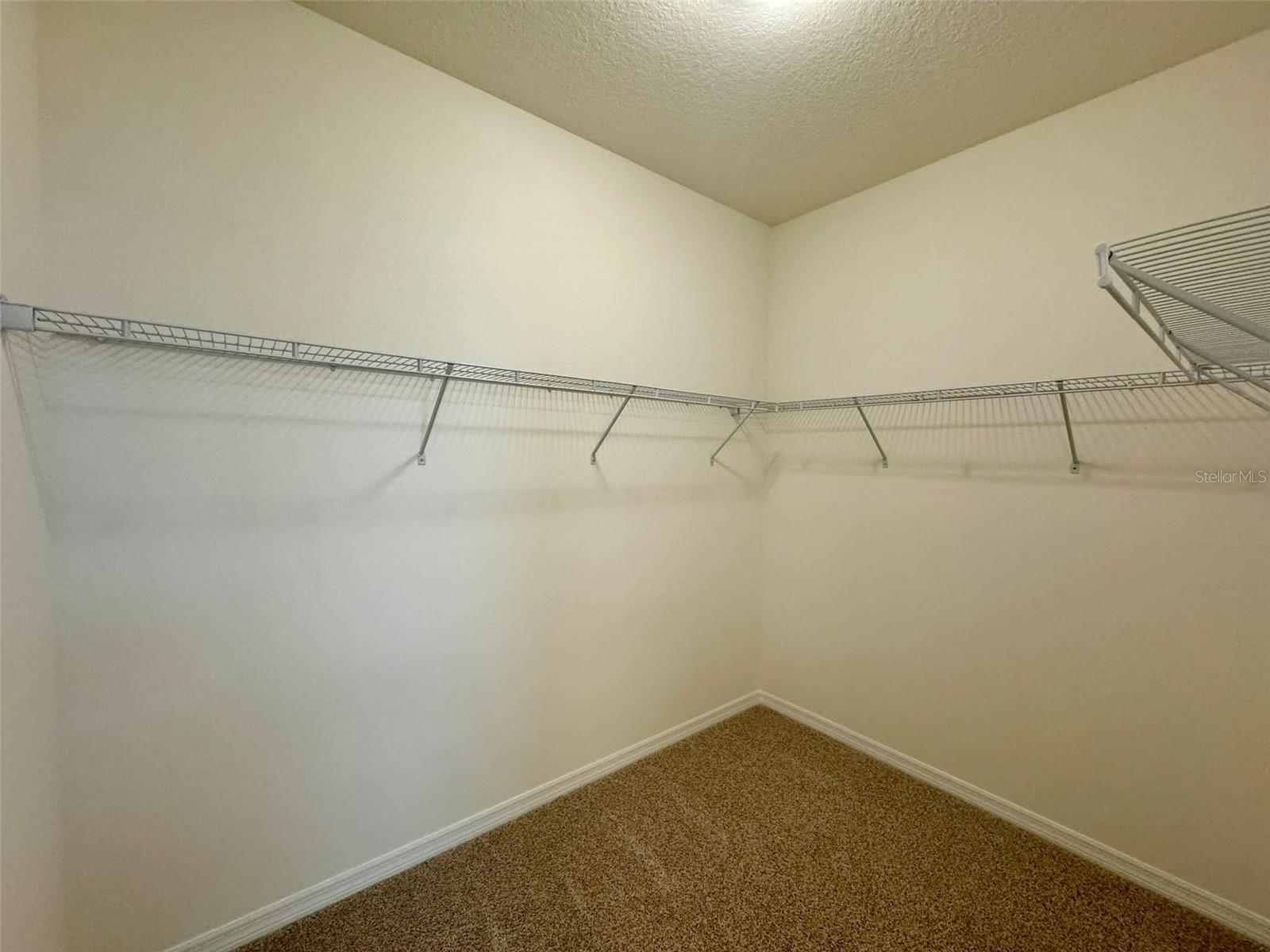 16085 SCARPETTA ST, WINTER GARDEN, FL, 34787