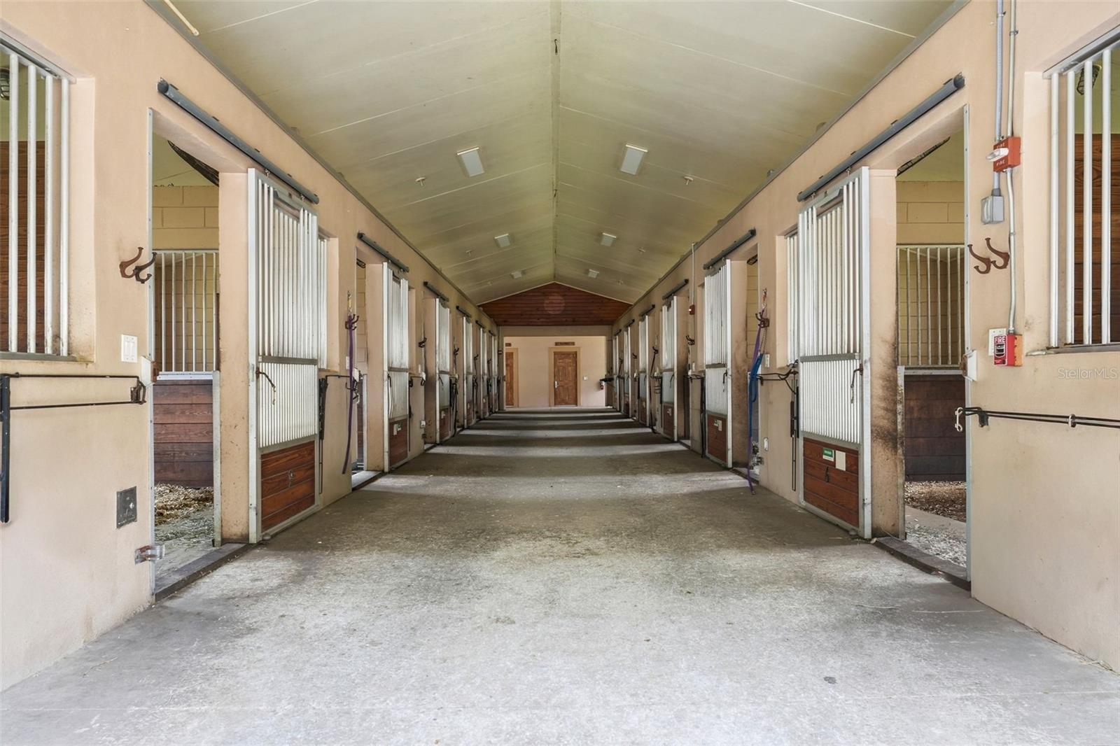 2020 HAAS RD, APOPKA, FL, 32712