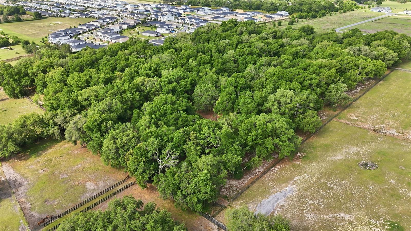 2020 HAAS RD, APOPKA, FL, 32712