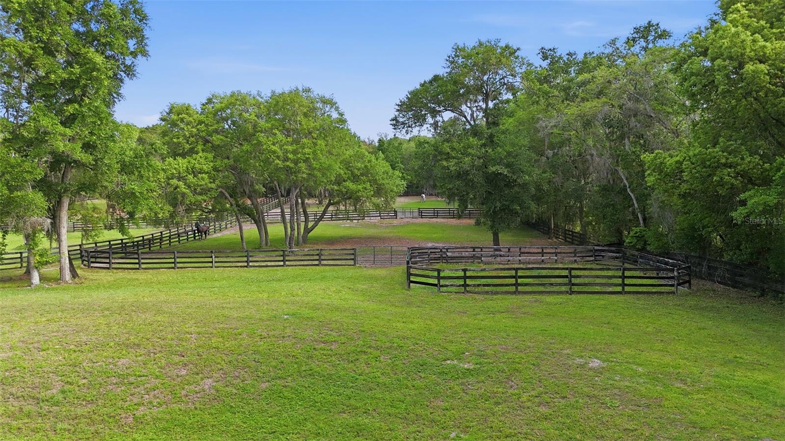 2020 HAAS RD, APOPKA, FL, 32712