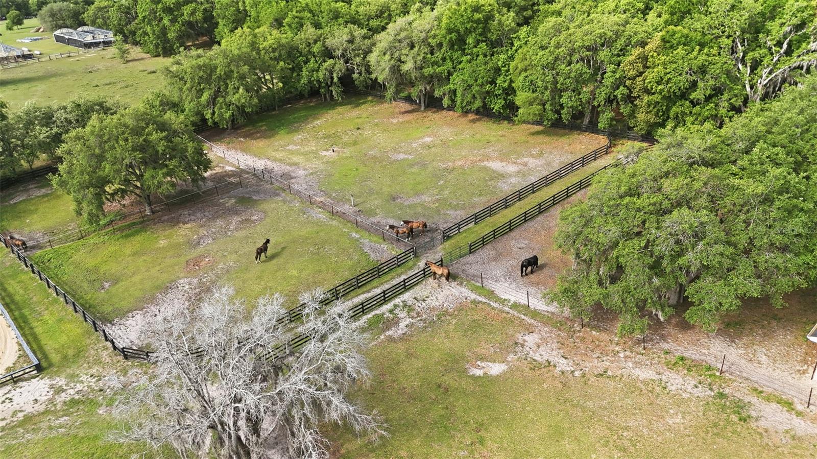 2020 HAAS RD, APOPKA, FL, 32712