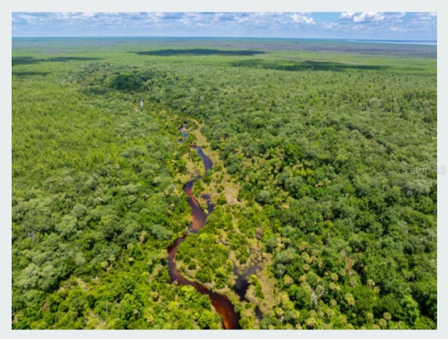 14263 NE 252ND COURT RD #181, SALT SPRINGS, FL, 32134