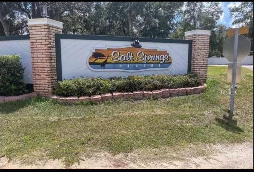 14263 NE 252ND COURT RD #181, SALT SPRINGS, FL, 32134