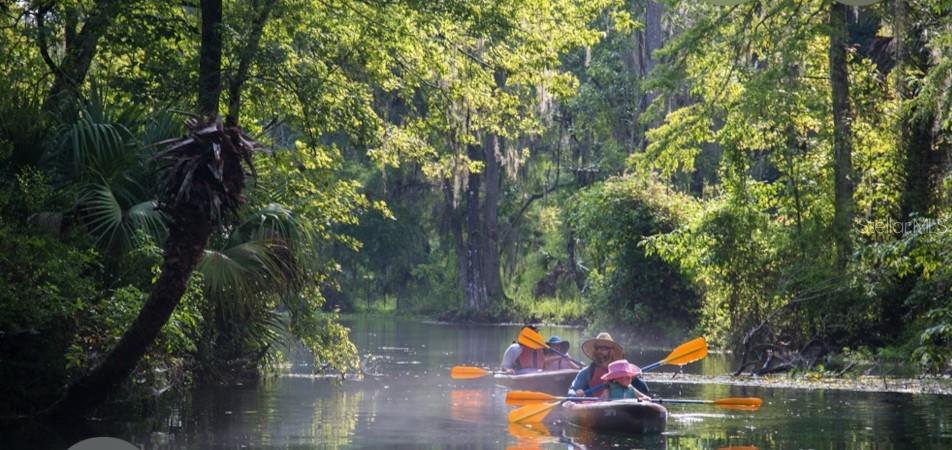 14263 NE 252ND COURT RD #181, SALT SPRINGS, FL, 32134