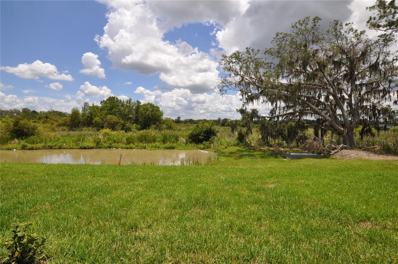 1458 TAHITIAN SUNRISE DR, PLANT CITY, FL, 33565