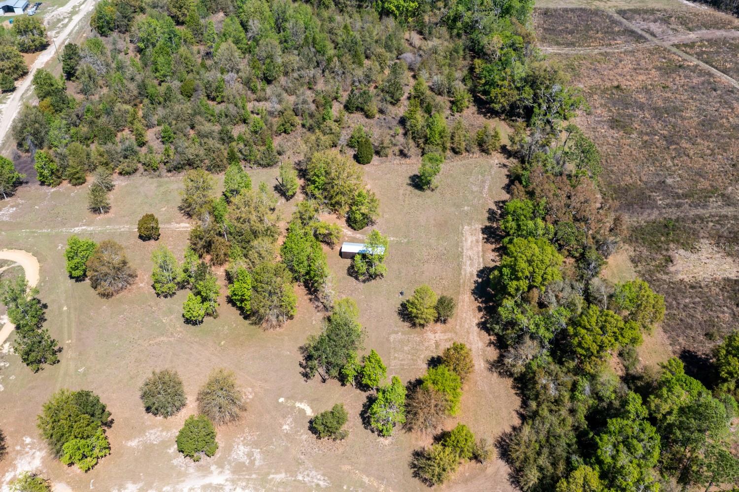203 SW PIGEON CT, FORT WHITE, FL, 32038