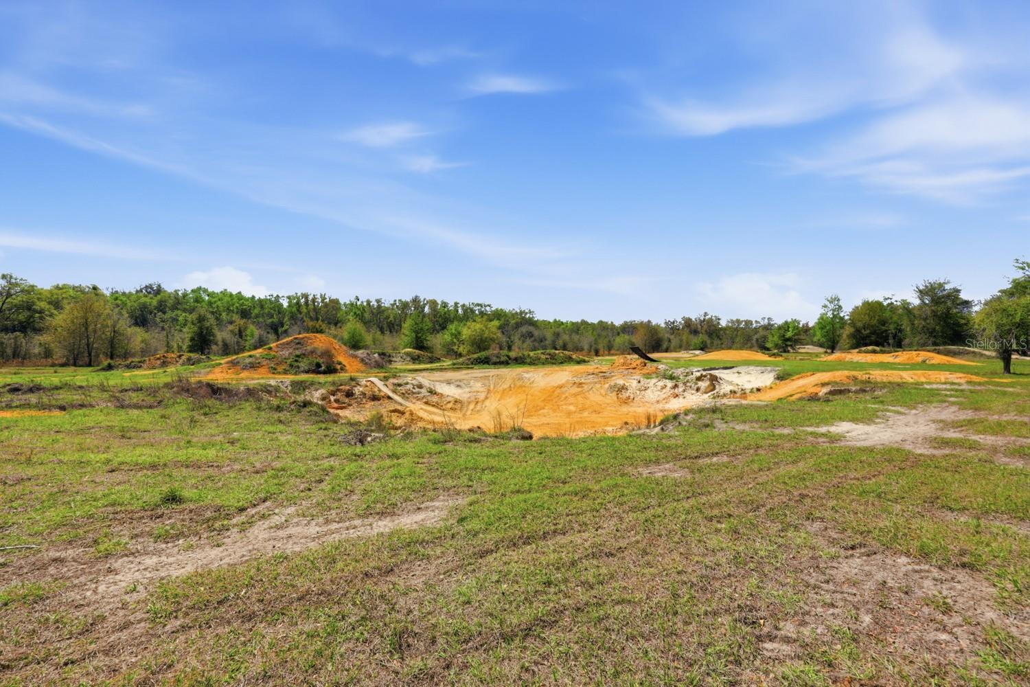 203 SW PIGEON CT, FORT WHITE, FL, 32038