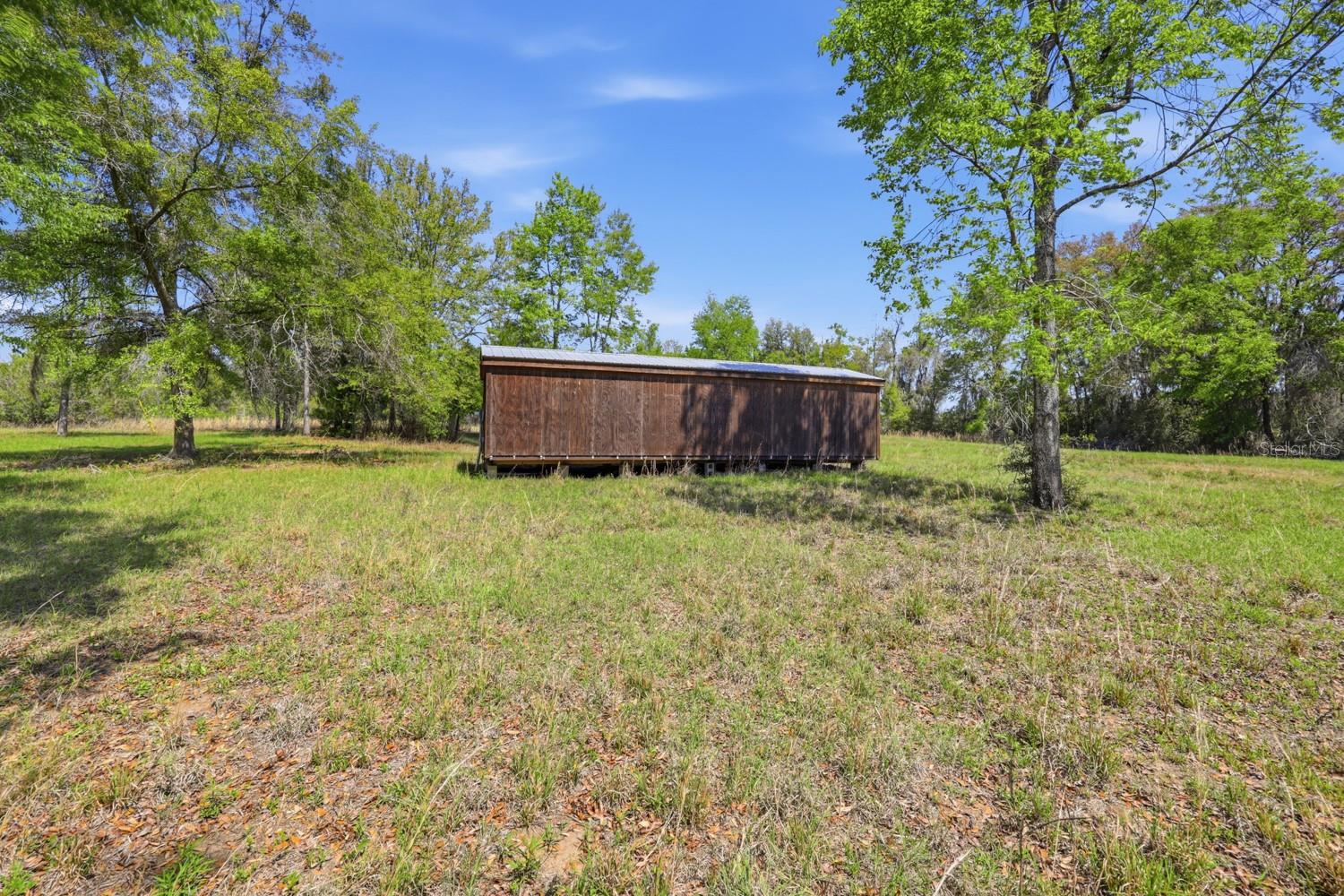 203 SW PIGEON CT, FORT WHITE, FL, 32038