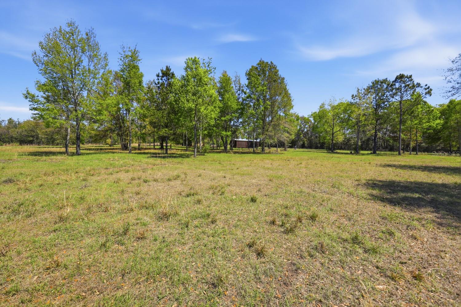203 SW PIGEON CT, FORT WHITE, FL, 32038