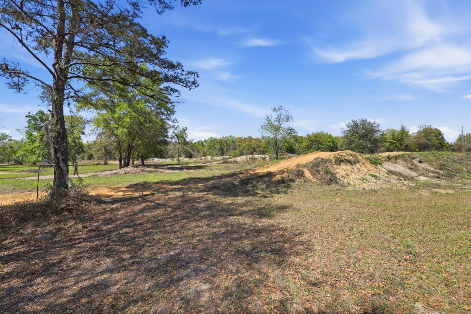 203 SW PIGEON CT, FORT WHITE, FL, 32038