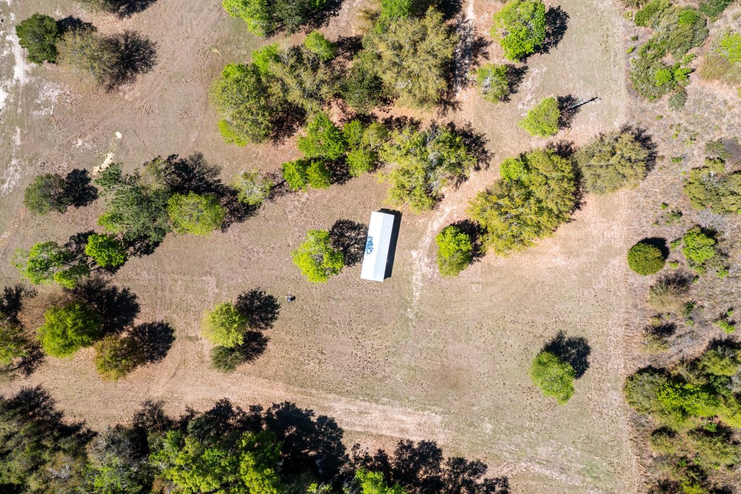 203 SW PIGEON CT, FORT WHITE, FL, 32038