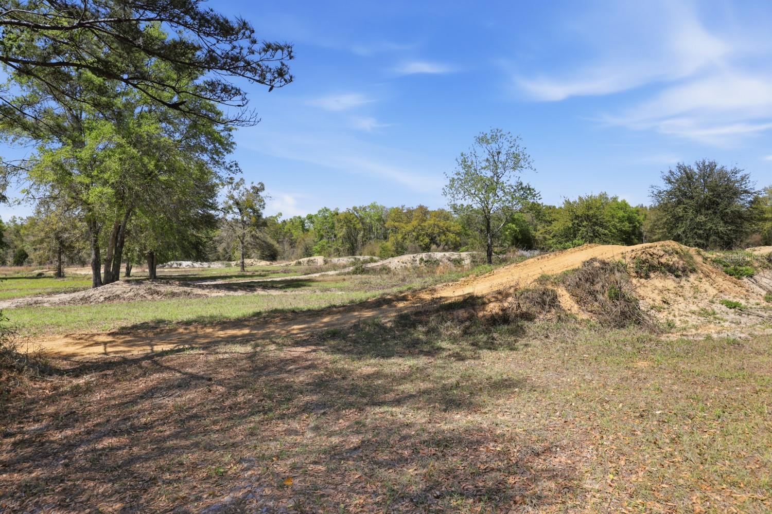 203 SW PIGEON CT, FORT WHITE, FL, 32038