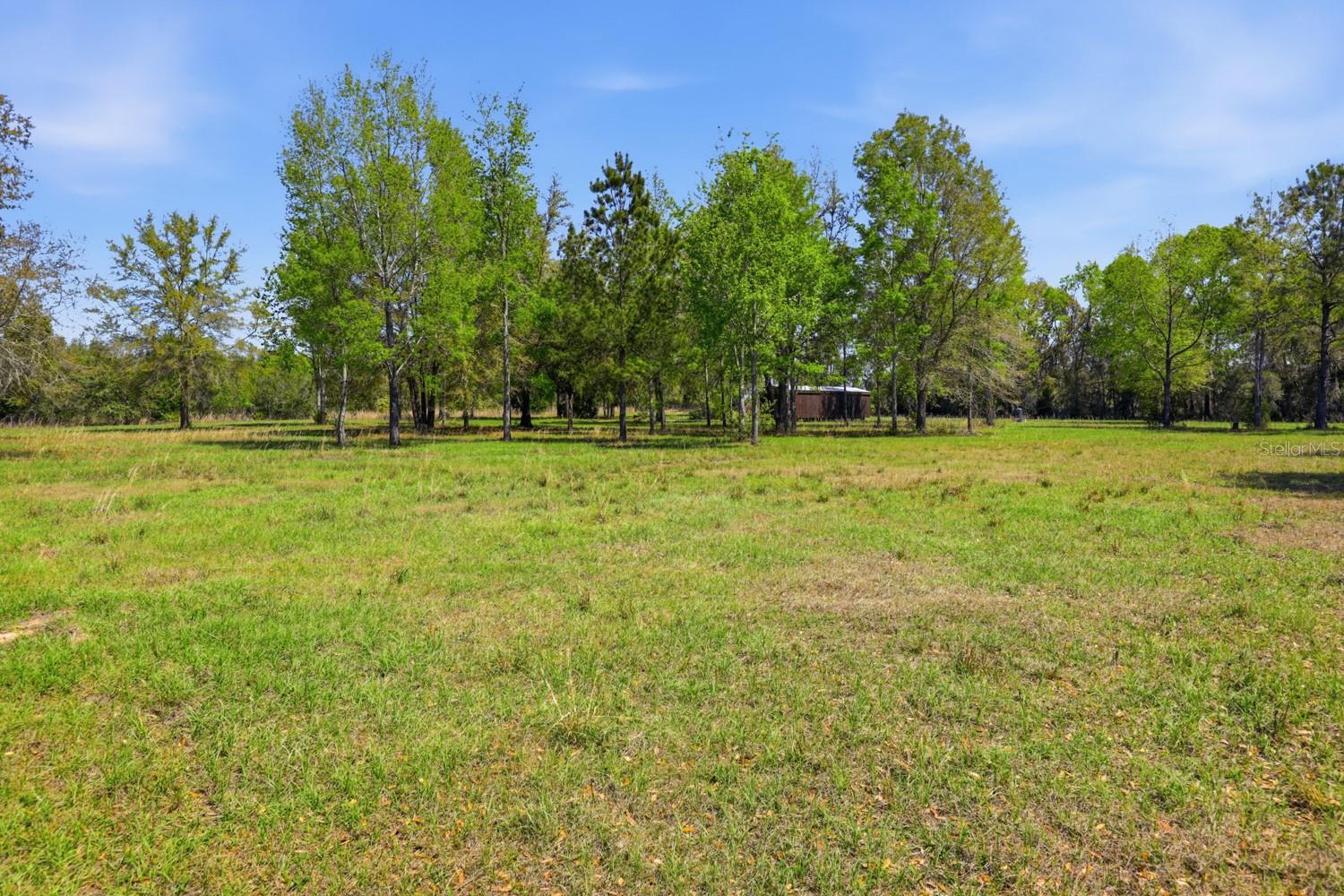 203 SW PIGEON CT, FORT WHITE, FL, 32038