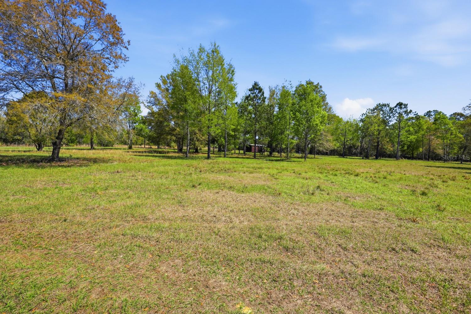 203 SW PIGEON CT, FORT WHITE, FL, 32038