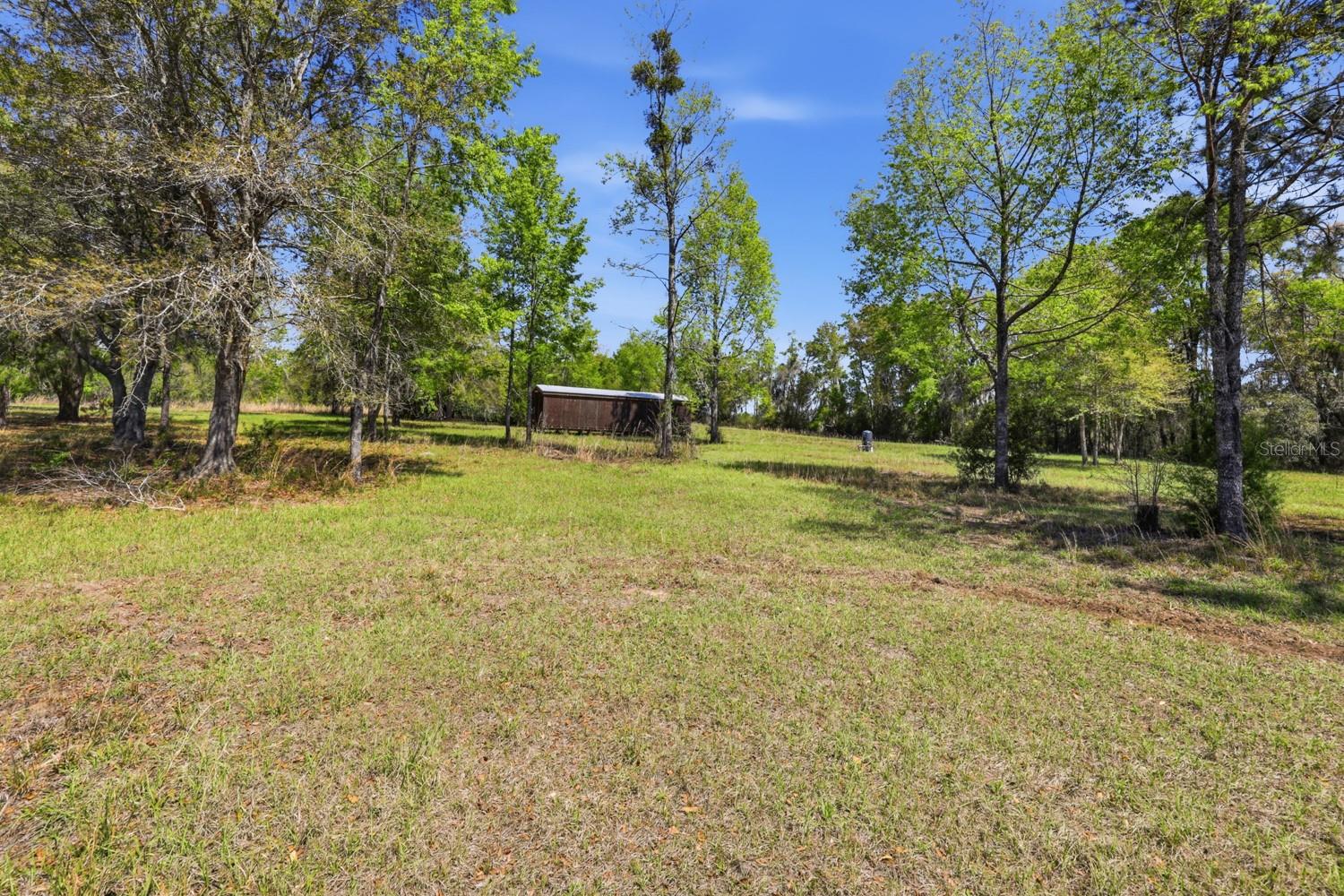 203 SW PIGEON CT, FORT WHITE, FL, 32038