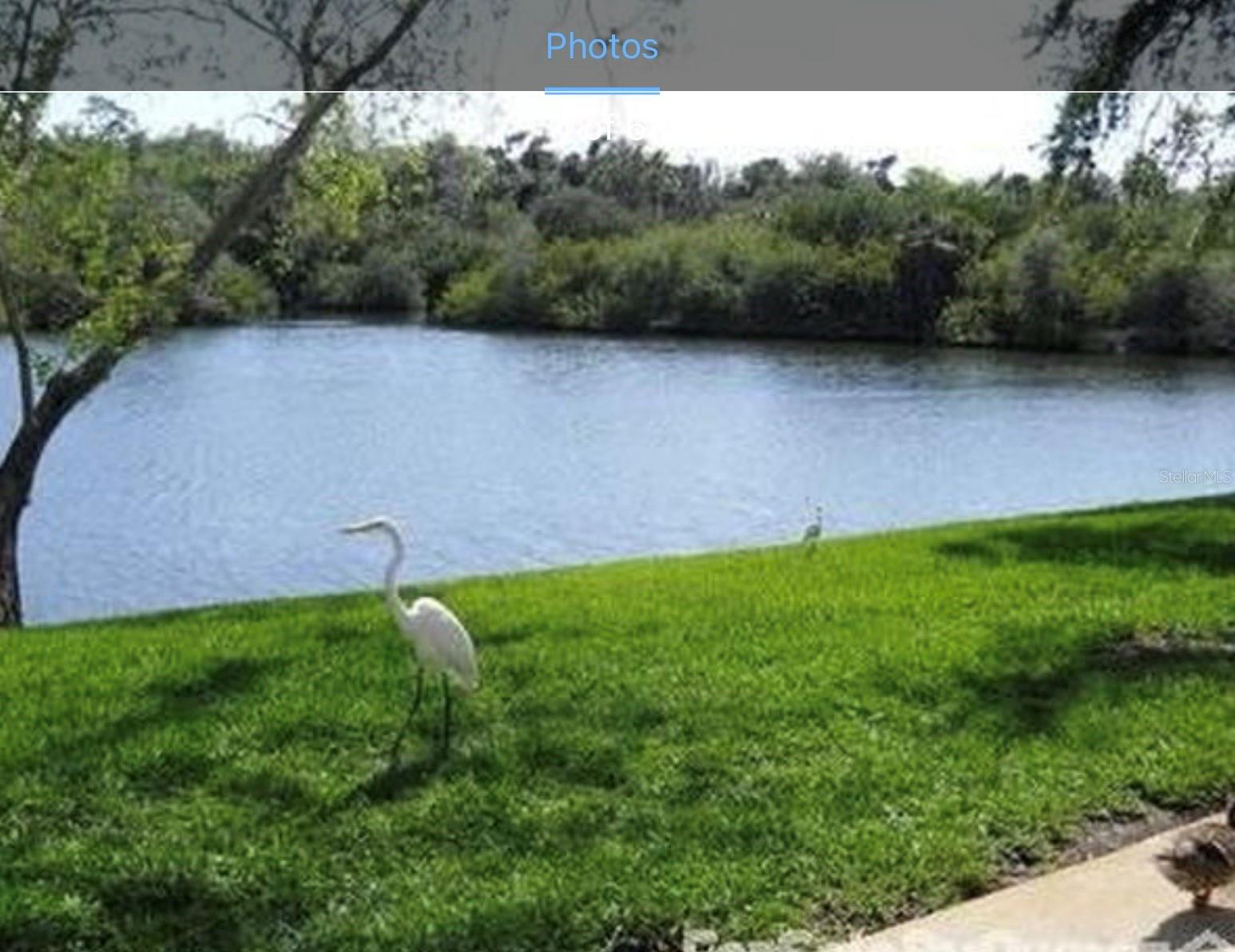 4124 HAMPTON DR, NEW PORT RICHEY, FL, 34652