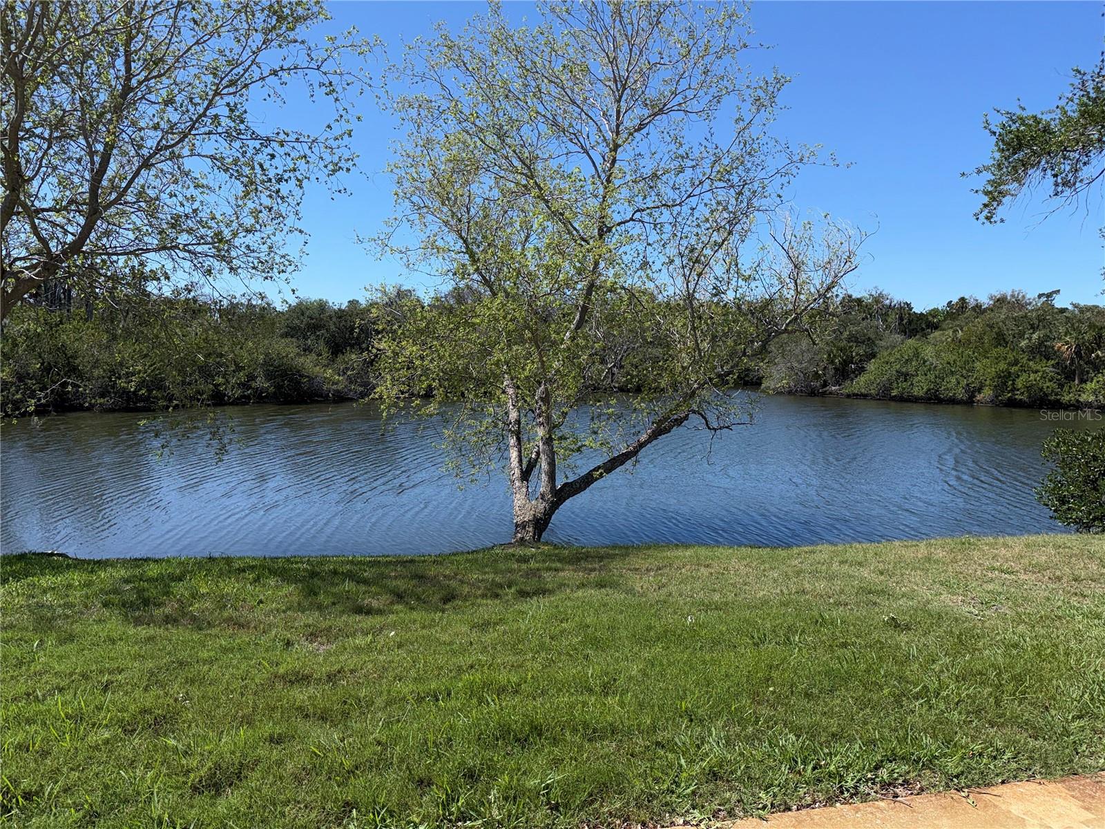 4124 HAMPTON DR, NEW PORT RICHEY, FL, 34652