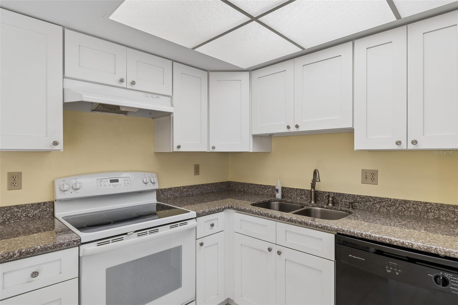 1130 ORANGE TREE CIR W #C, PALM HARBOR, FL, 34684