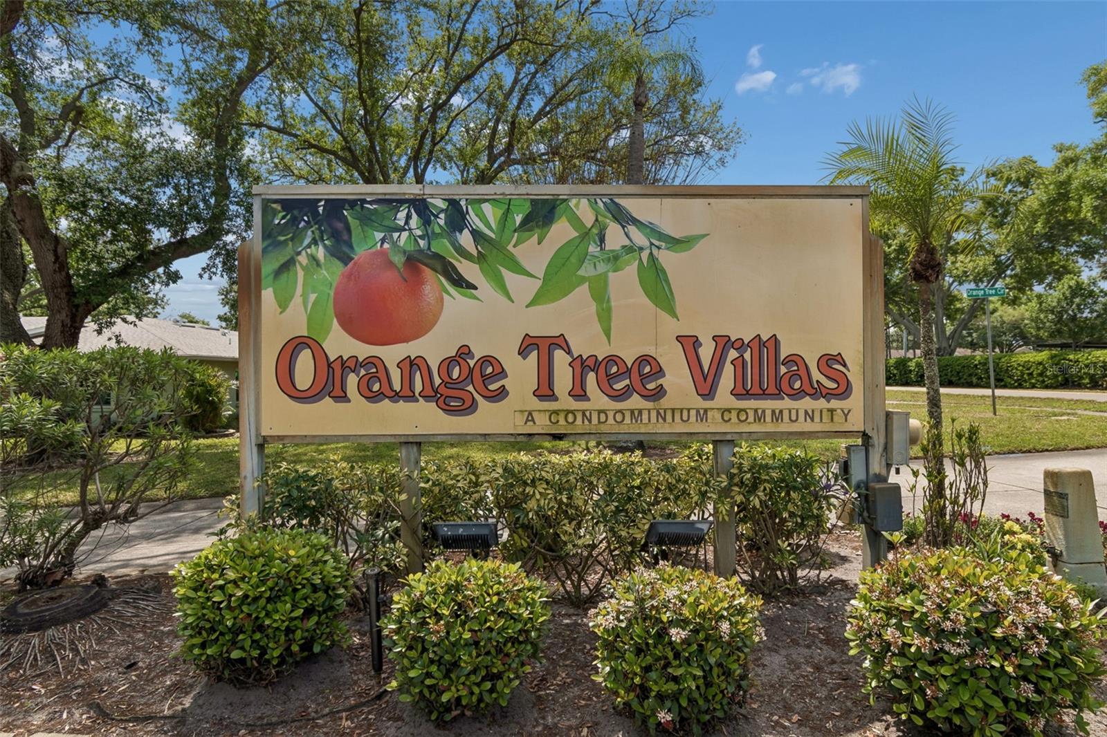 1130 ORANGE TREE CIR W #C, PALM HARBOR, FL, 34684