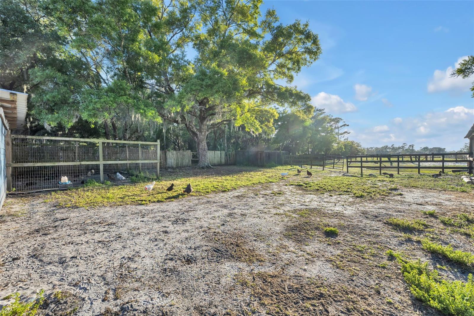 1350 ARAPAHO TRL, GENEVA, FL, 32732