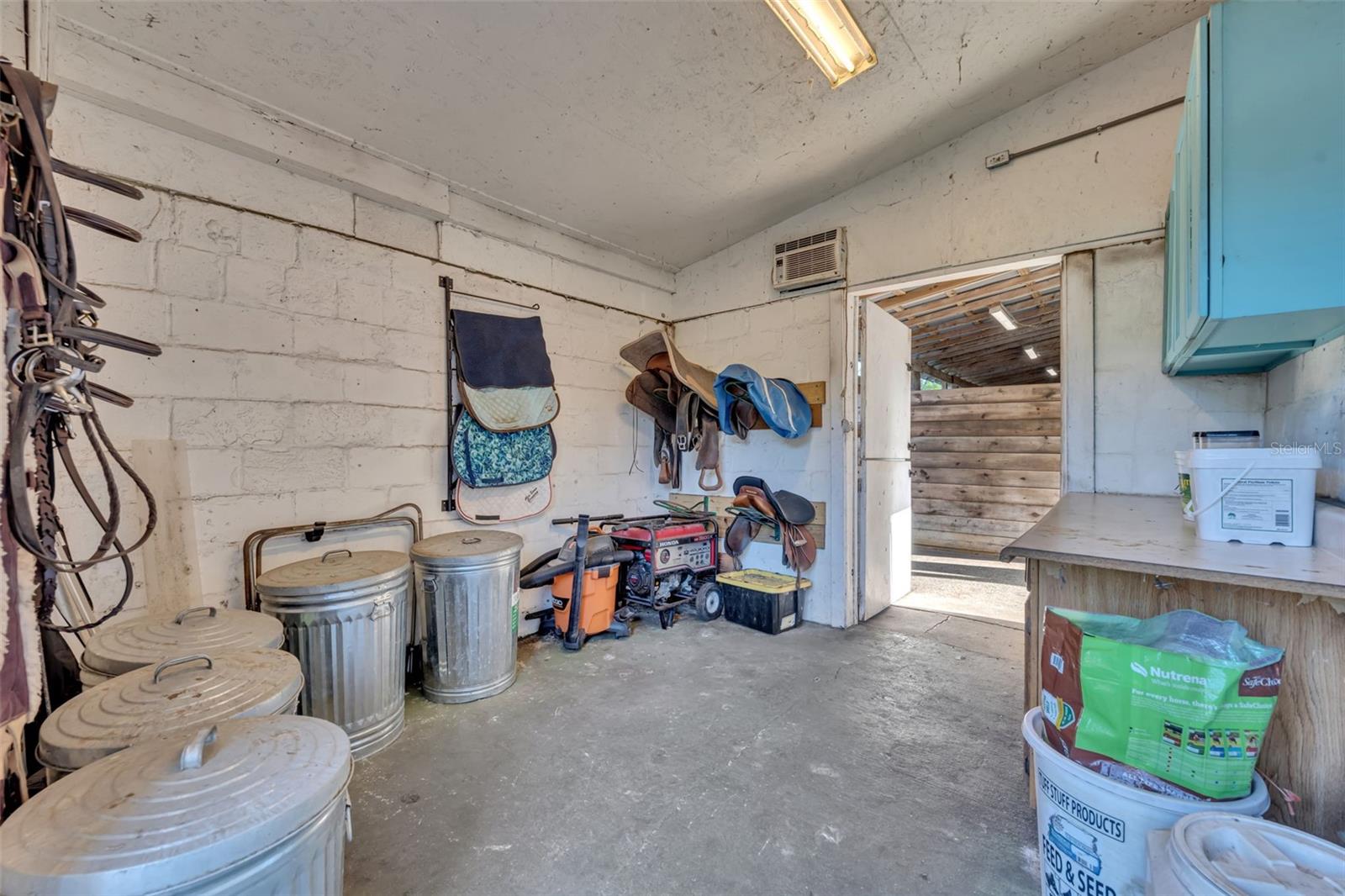1350 ARAPAHO TRL, GENEVA, FL, 32732