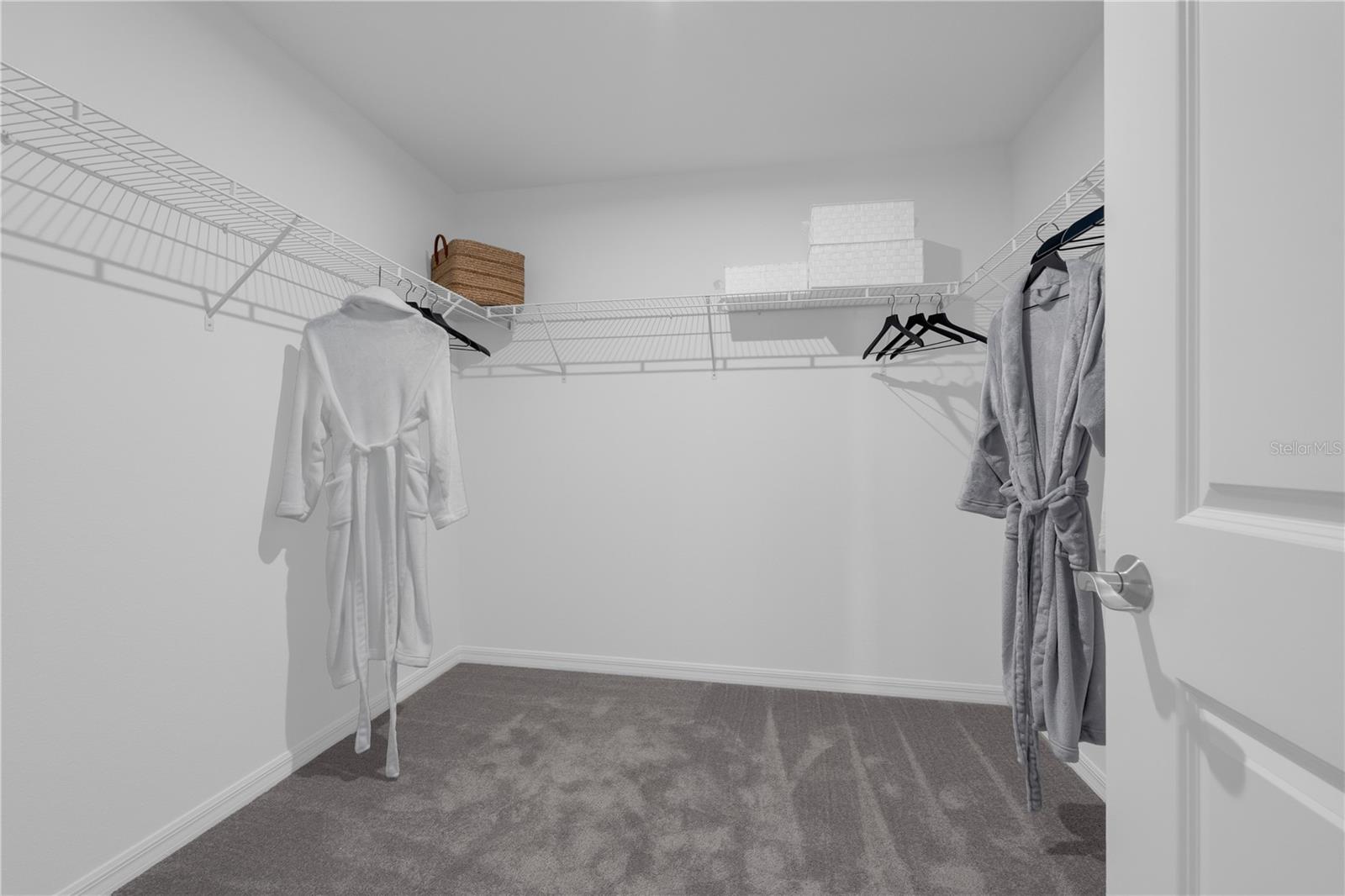 10111 MORNING MEADOWLARK TRL, PARRISH, FL, 34219