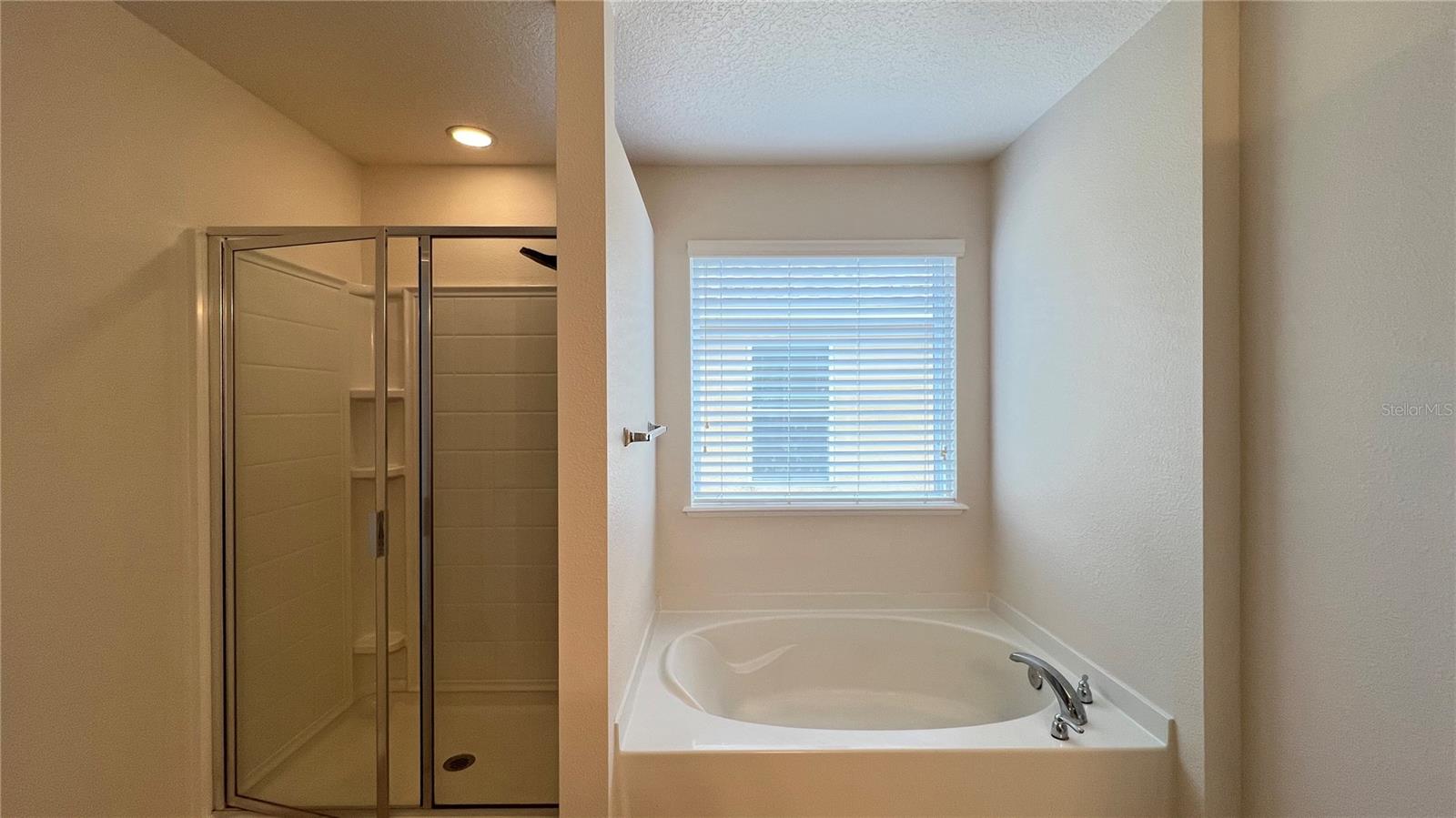 16048 YELLOWEYED DR, CLERMONT, FL, 34714