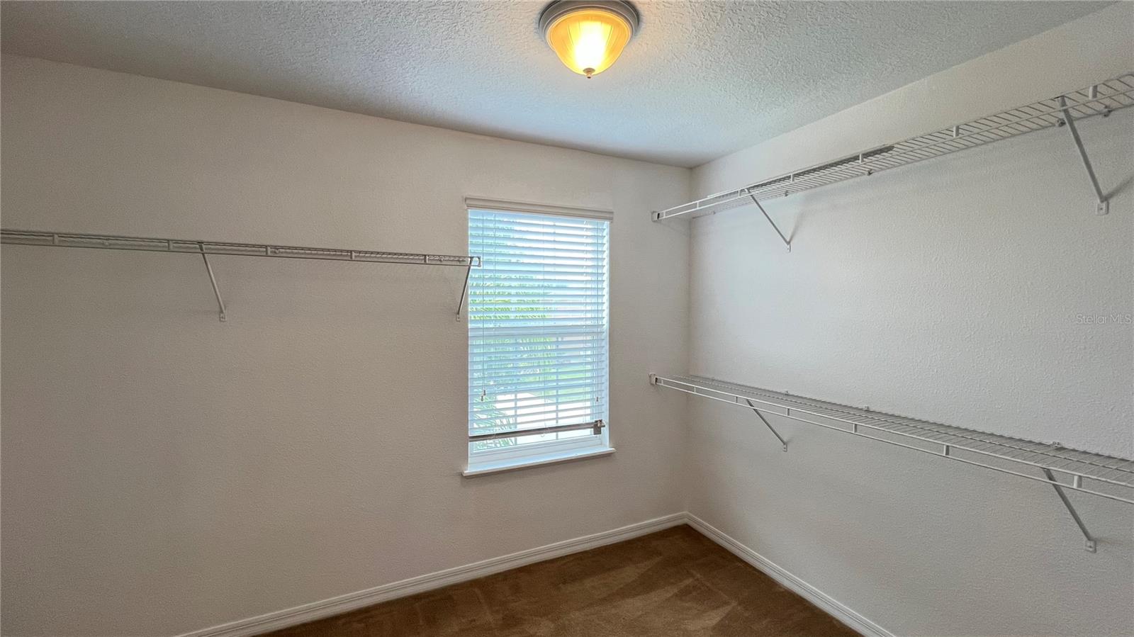 16048 YELLOWEYED DR, CLERMONT, FL, 34714