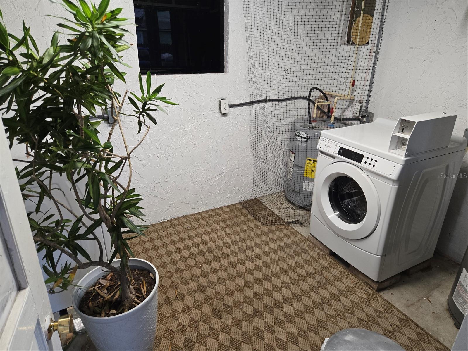 101 W LEMON ST #3, TARPON SPRINGS, FL, 34689