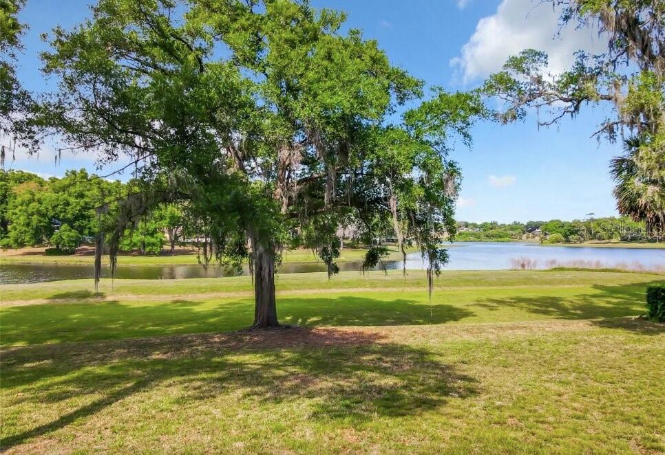 2054 SAWGRASS DR, APOPKA, FL, 32712