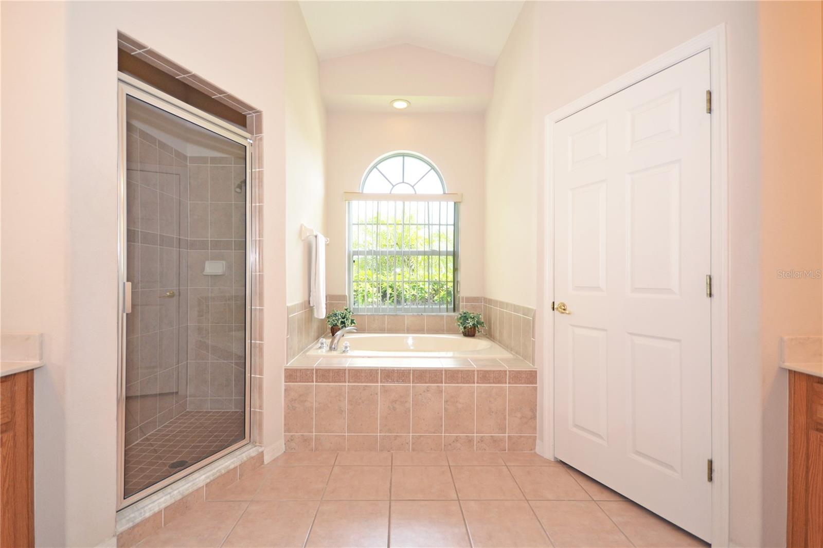 423 CORVINA DR, DAVENPORT, FL, 33897