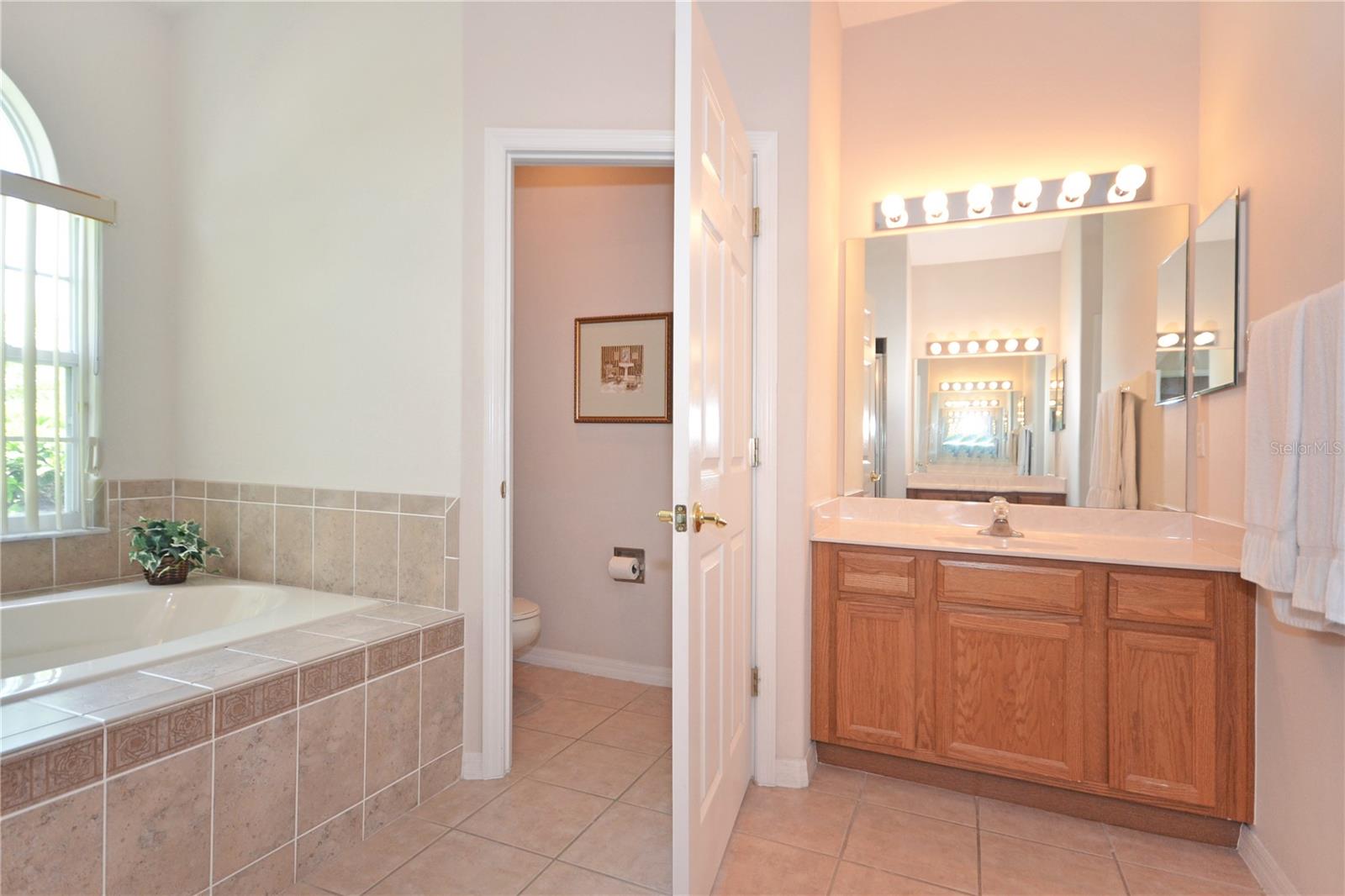 423 CORVINA DR, DAVENPORT, FL, 33897