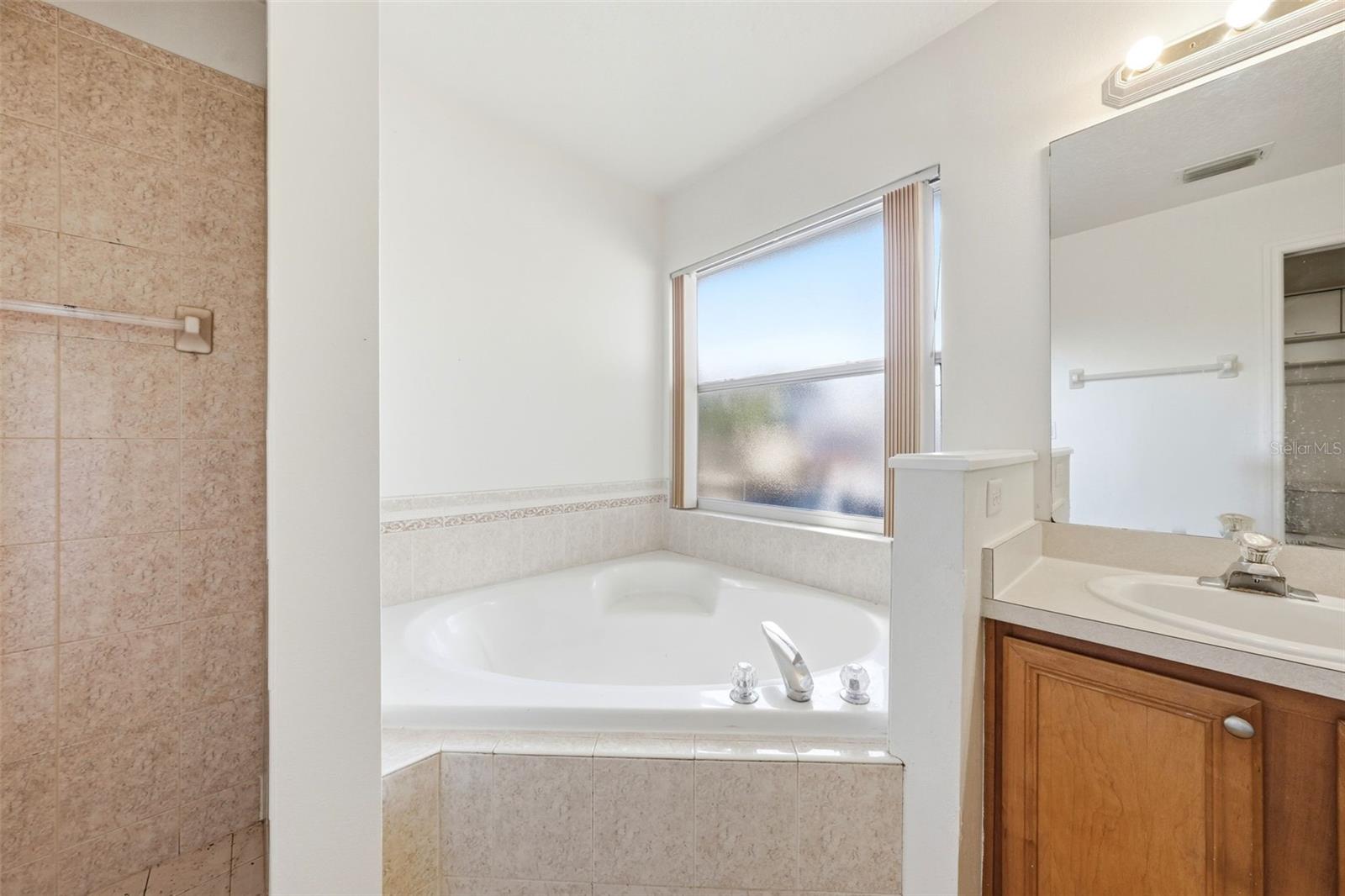 3333 SITE TO SEE AVE, EUSTIS, FL, 32726